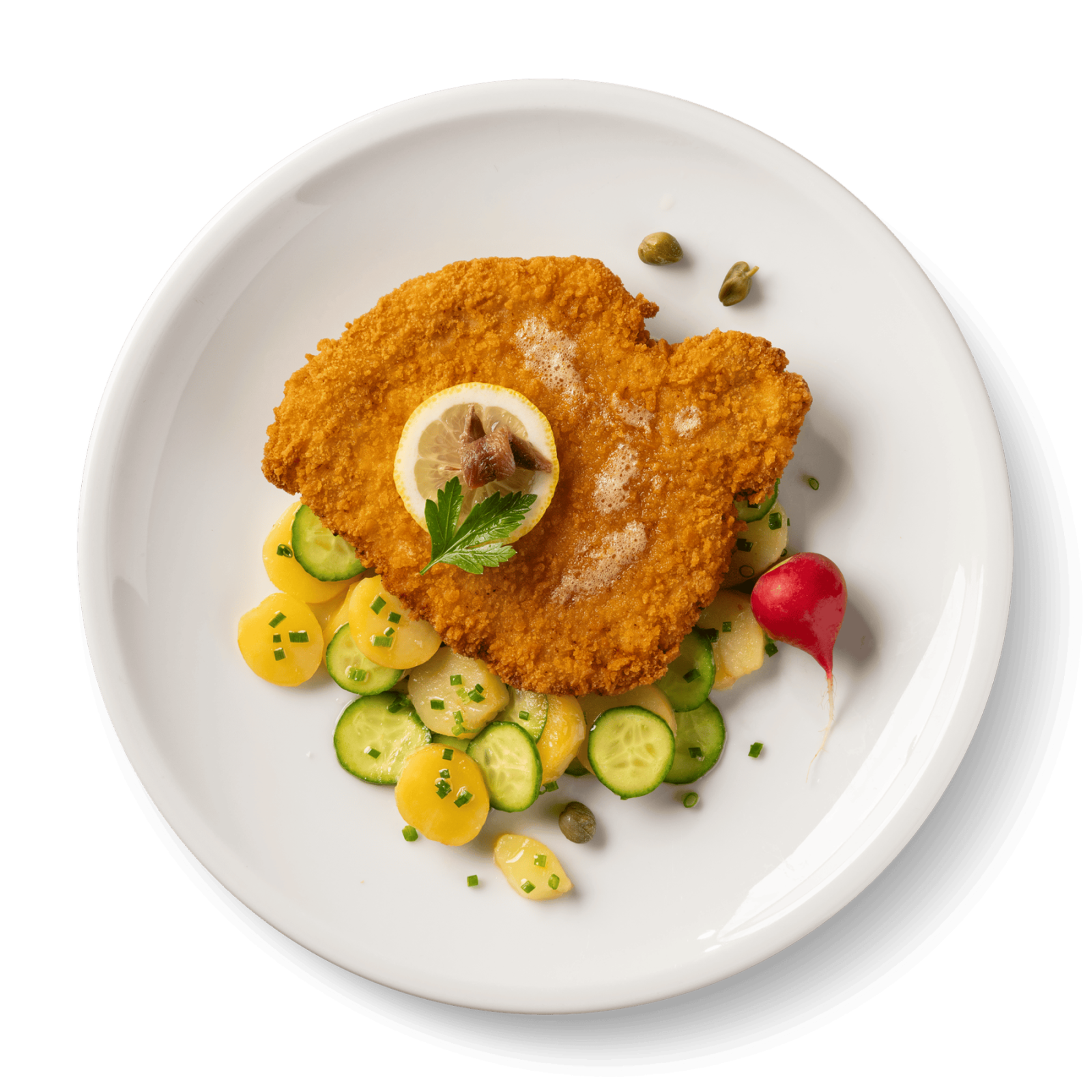 plate-3-schnitzel-tp