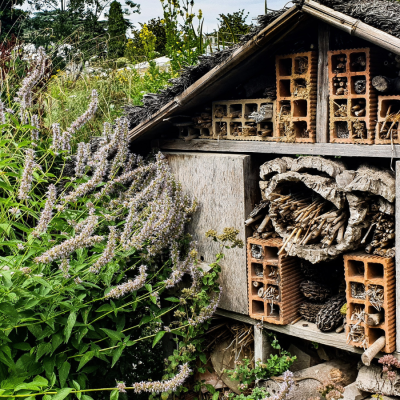 Insect Hotels